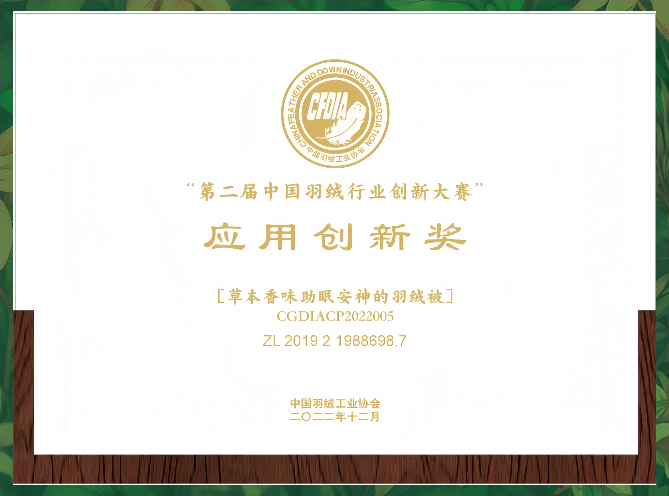 第二届中国羽绒行业创新大赛