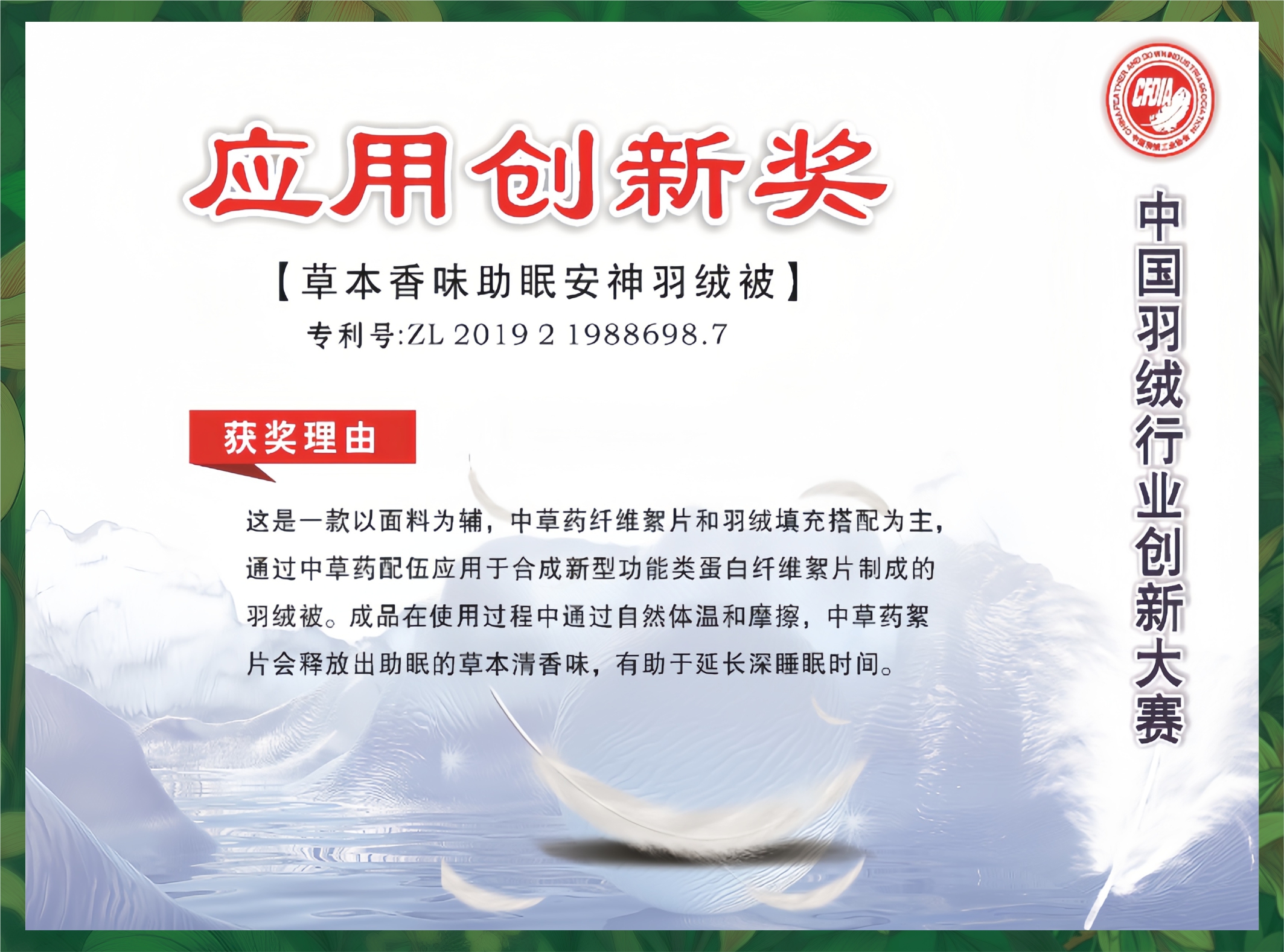 中国羽绒行业创新大赛应用创
